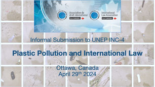 Plastic Pollution and International Law