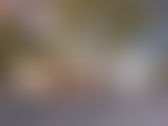 3560 MANDEVILLE CANYON RD, LOS ANGELES CA 90049