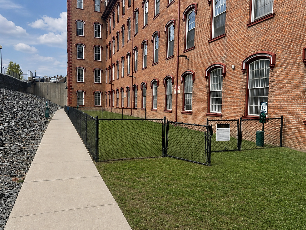 Harmony Mills Dog Park.PNG