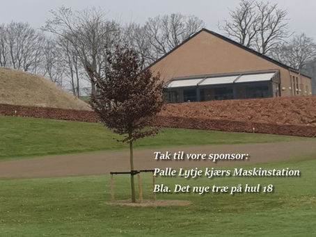 NYT TRÆ PÅ HUL 18