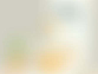 Understanding Balance Sheets and Their Formatting Differences