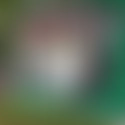 Благие знамения