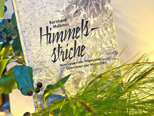 Cover Band 112 Naturkunden Himmelsstriche. Vom Leben der Vögel und Überleben der Menschen von Bernhard Malkmus