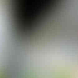 Azulejos schmücken das Grandhotel draußen wie drinnen