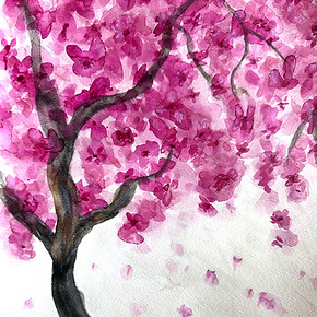 CherryBlossoms_edited.jpg