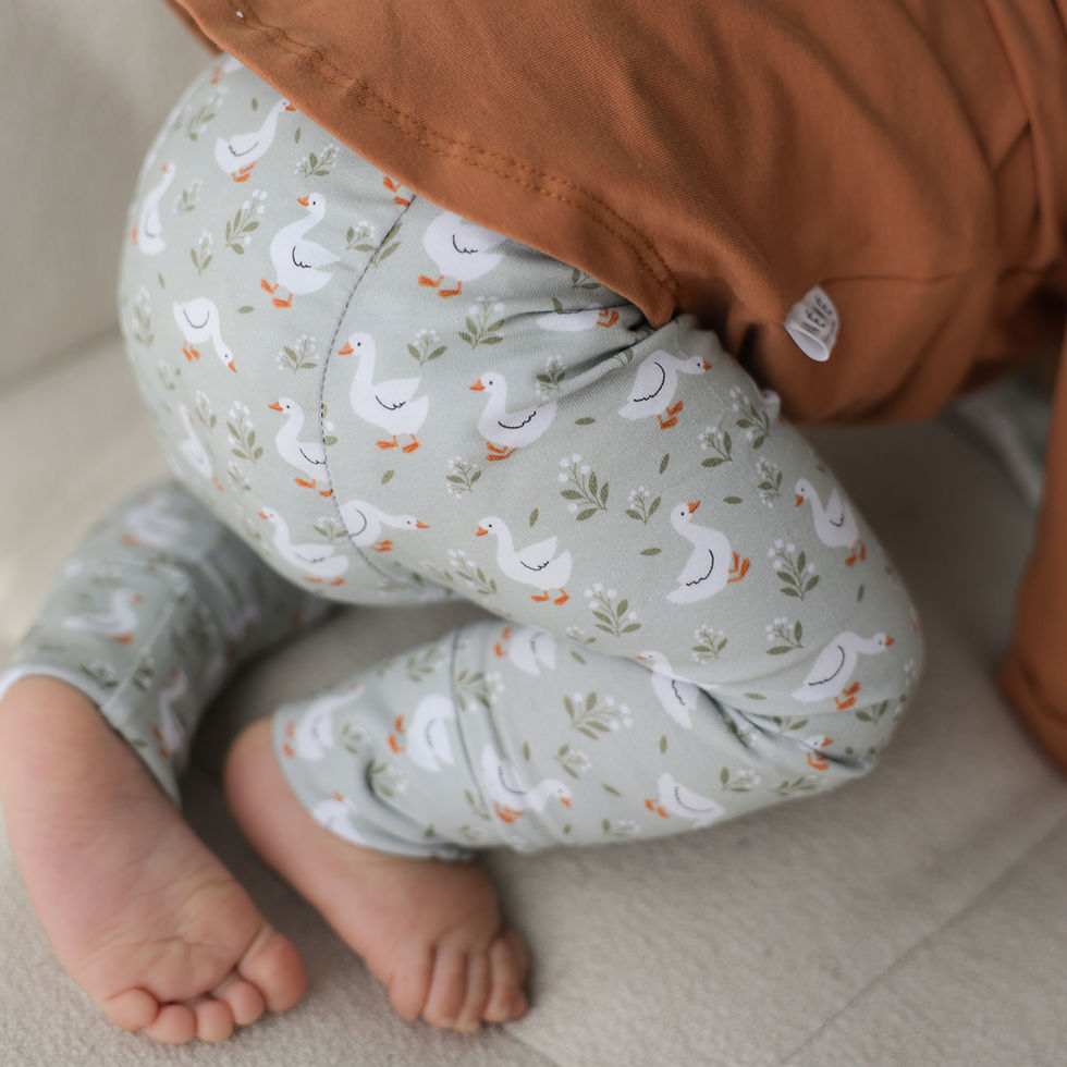 Miniature : LEGGING évolutif oies