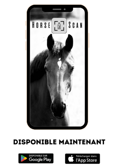 horse scan iphone.png