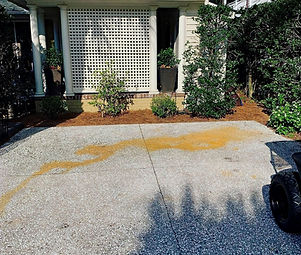 Before with Rust_edited_edited.jpg