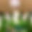 Thumbnail: Cactus ornament kit