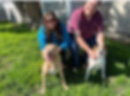 Jax adoption