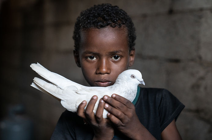 Giles Clarke, Boy with Dove; Yemen 2020, Chromogenic Print