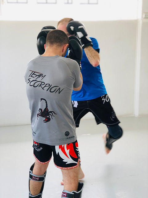 boxing.jpeg