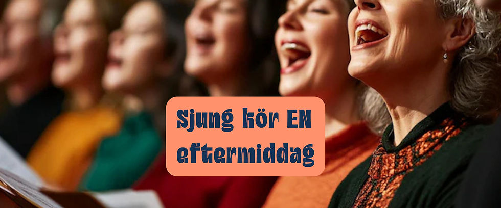 KÖR~ eftermiddag 19 sept i Västerås med Ulrica Liavor Nybörjare/Medel