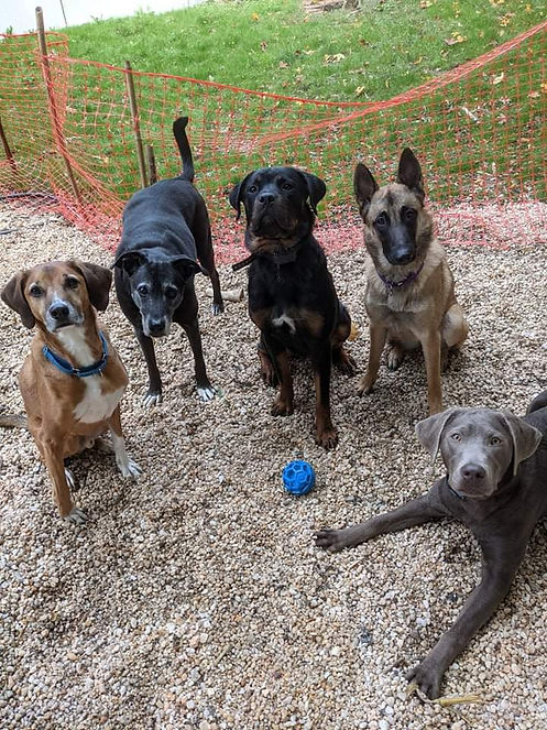 Fiona and friends.jpeg