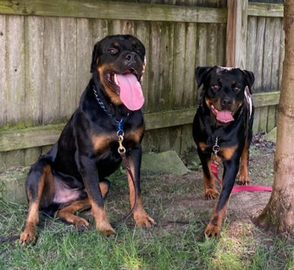 Bear OS NJ and Chloe GA.jpeg