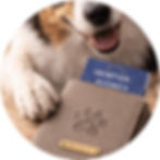 Heimtierausweis Hülle, Impfass Tiere, Haustier, Hülle Dokumente Haustier, Hund, Katze