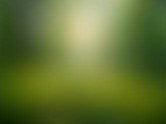 The Importance of Sustainable Living in Today's World