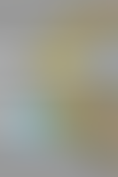 The Misunderstanding of Acoustic Diffusion Test Data