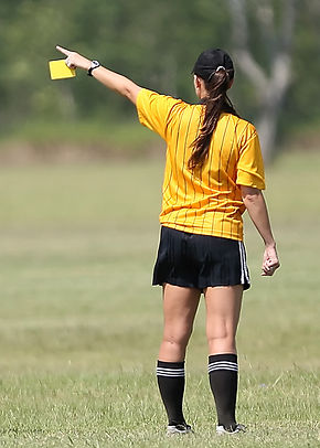 Soccer Ref