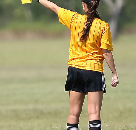 Soccer Ref