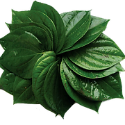 Paan Corner logo