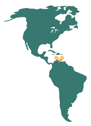 world-map-1.png