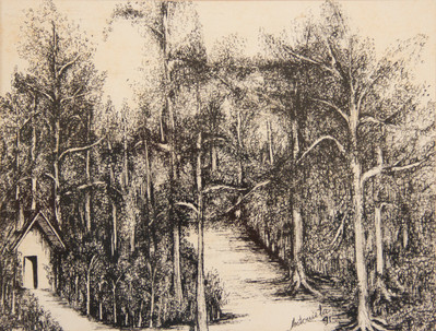 Um Cantinho na Floresta