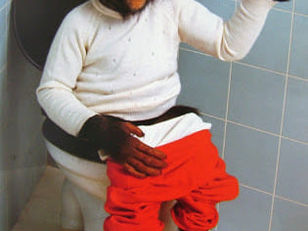 שימפנזה בשירותים