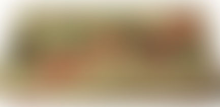 בונבוניירות, חוסן, ומתי כדאי לקרוא לעזרה