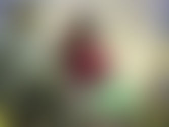 להפוך כאב לשמחה