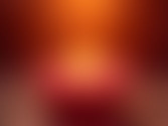 על ציפורים, פחד, ומצבי פגיעות