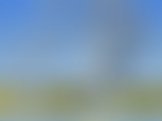 עבודה עם מי שמגדיר בעיה