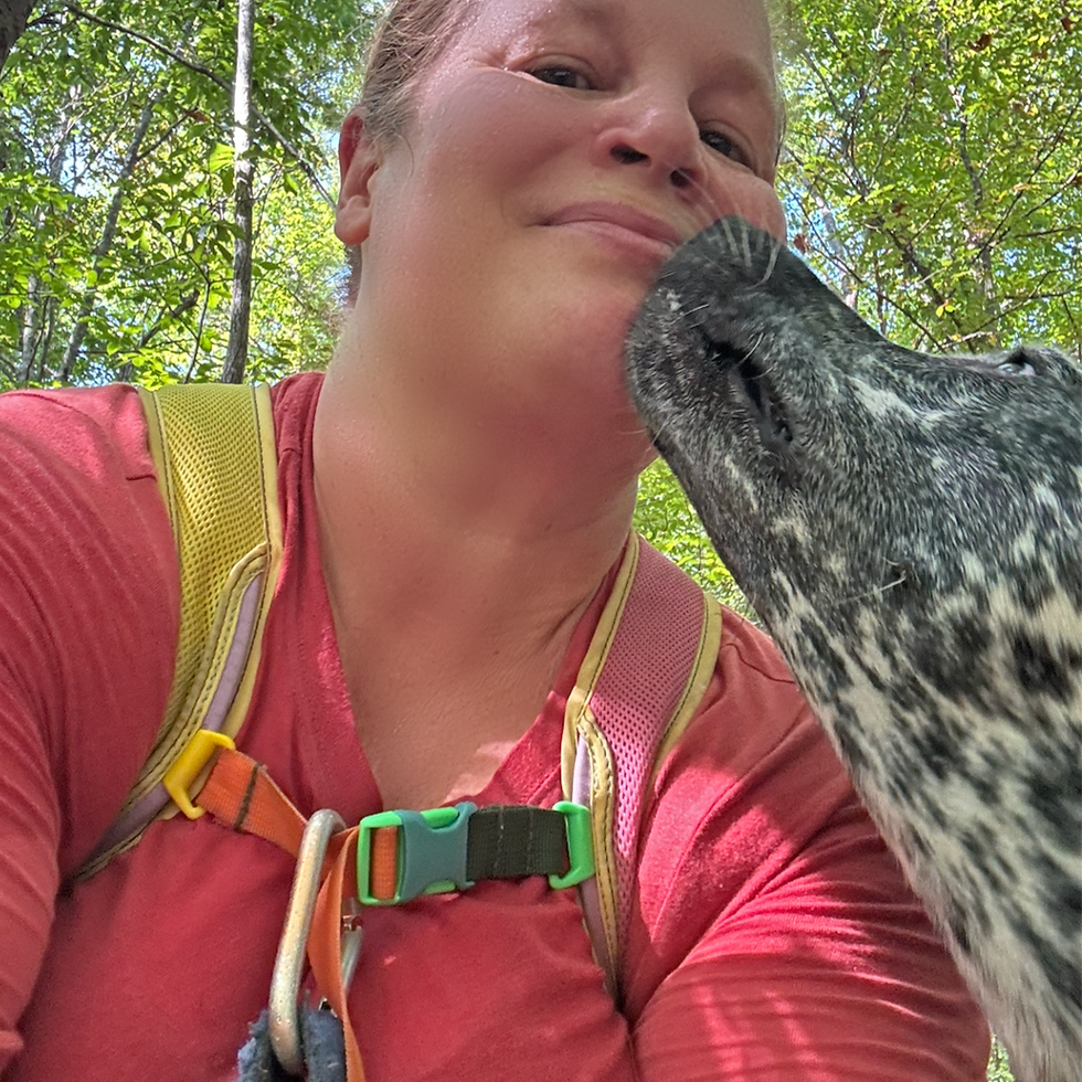 A dog kissing a woman's face in the woods.