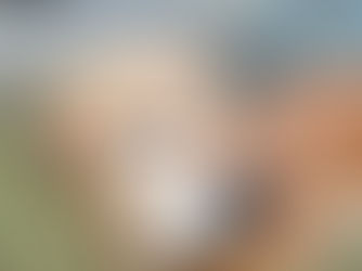 Is My Dog Losing Their Hearing? Signs to Watch For + How to Help