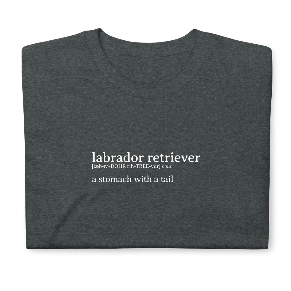 Thumbnail: folded dark heather t-shirt featuring funny dictionary definition of a labrador retriever