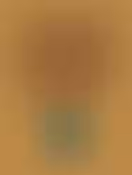 Beyond the Programme: Ambassador Qualities