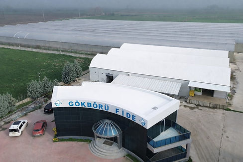 WhatsApp Image 2025-12-18 at 15.07.10.jpeg