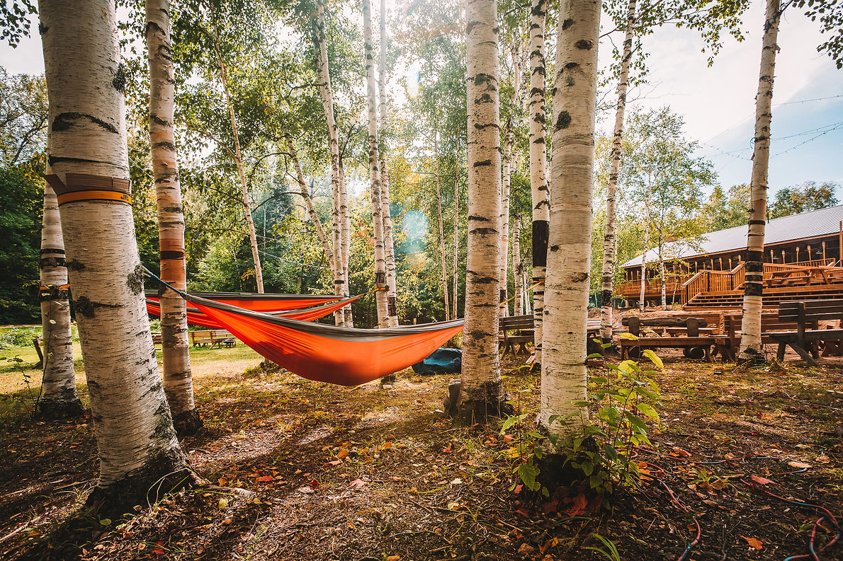 CL-HAMMOCK.jpeg