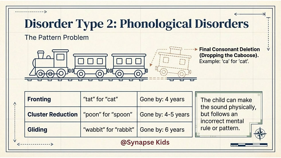 Phonological Process Disorder 