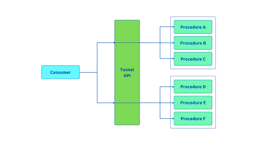 Tunnel API Style