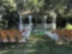 SWF Wedding 04.webp