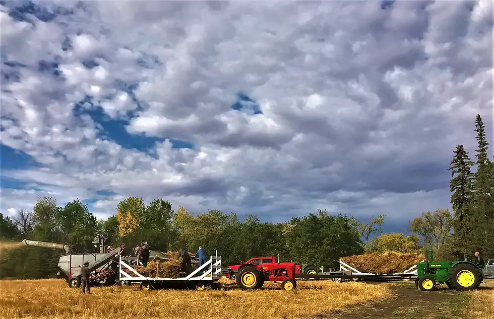 2020 Harvest Cloudy Sky 09 12 1.webp