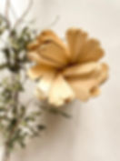 Sandy desert background