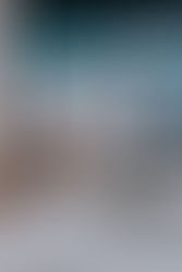 Get started with E-Commerce on TikTok