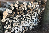 Photo max2.jpg