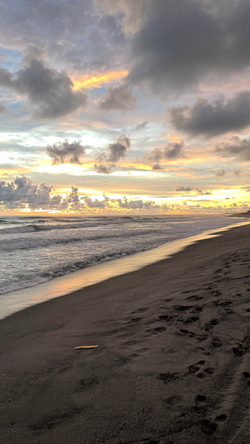 The Beach