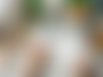 2026 飲食新革命:從美國最新膳食指南看懂「人寵共好」的真食力