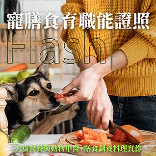 寵膳食育職能證照課