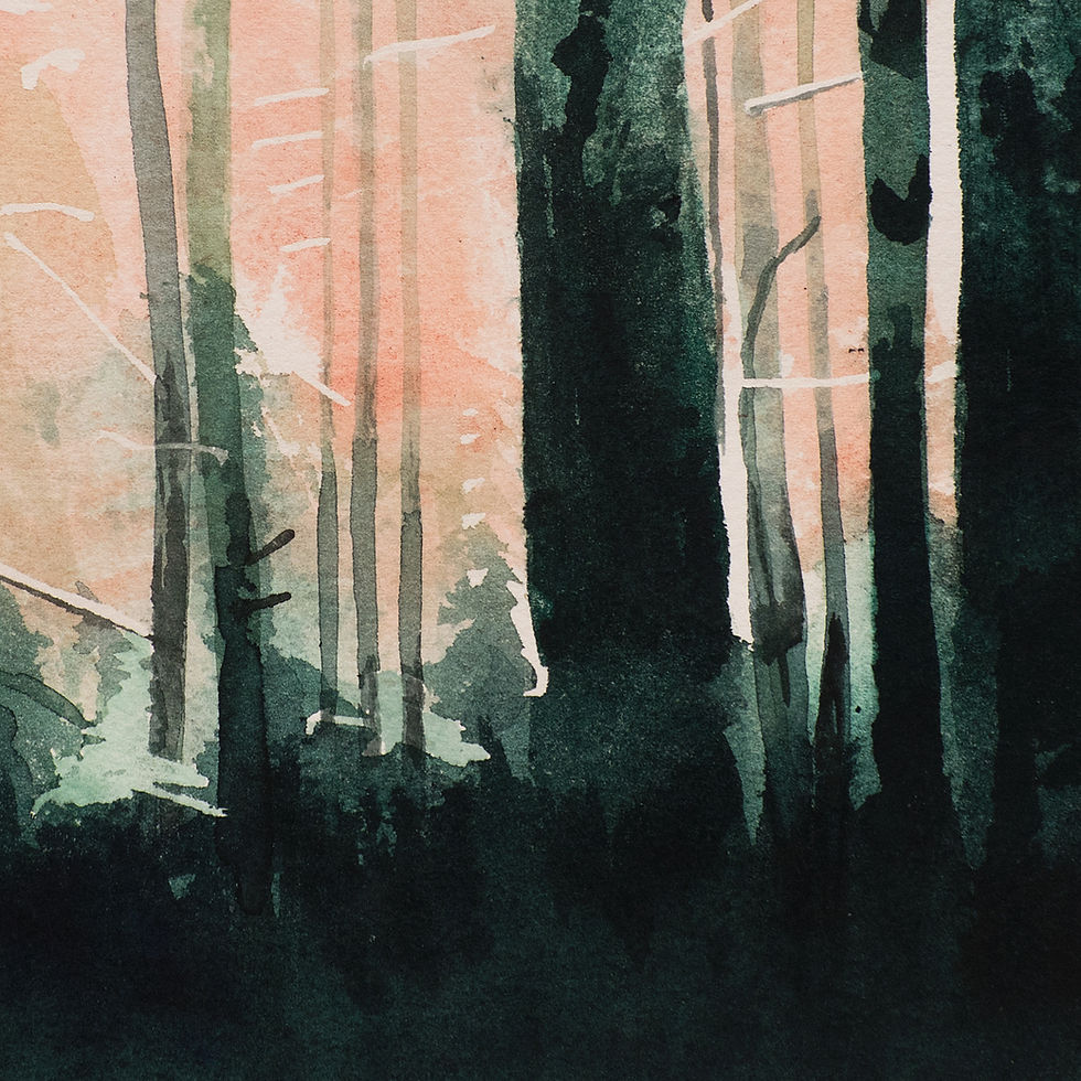 die Welt brennt #5, 2024