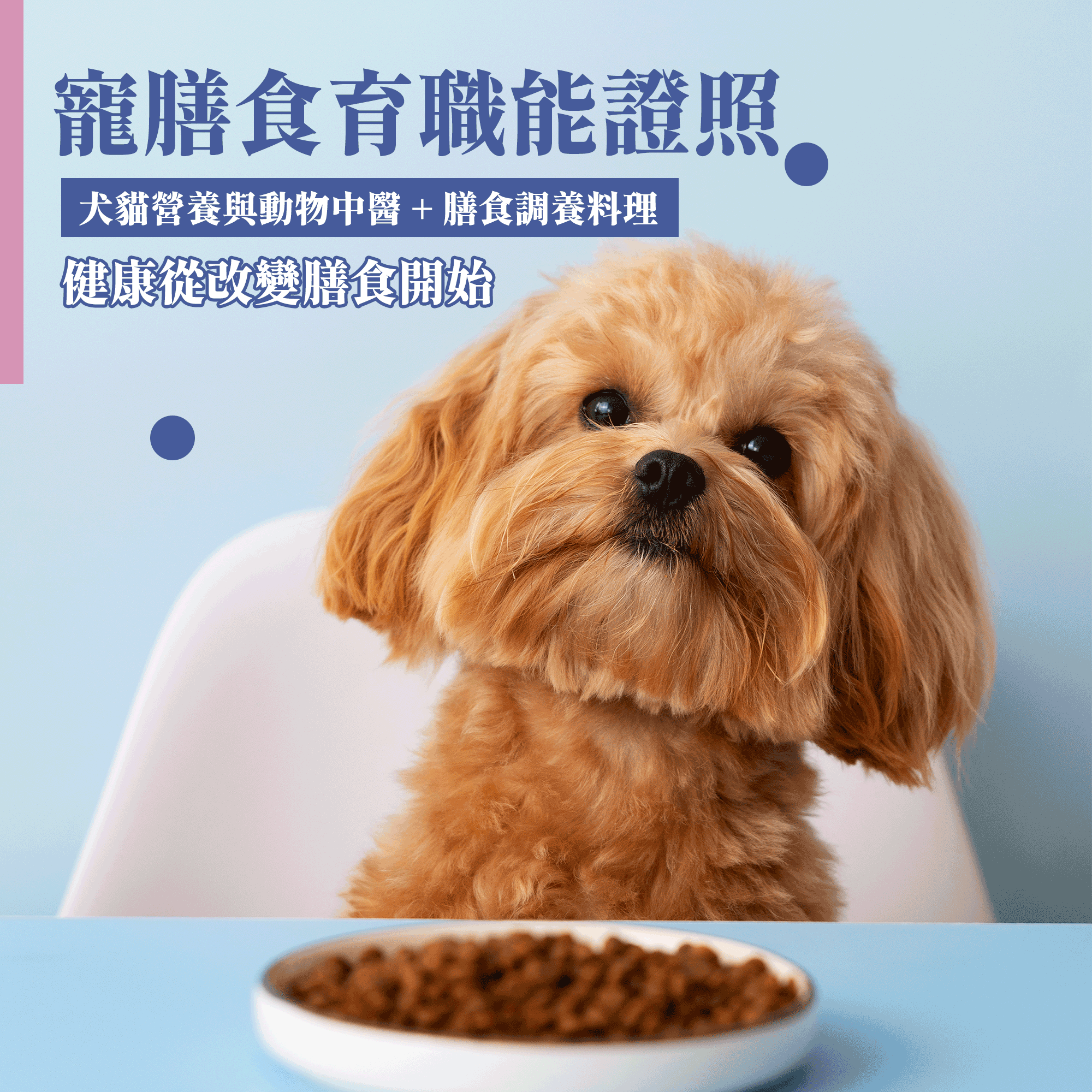 寵膳食育職能證照課